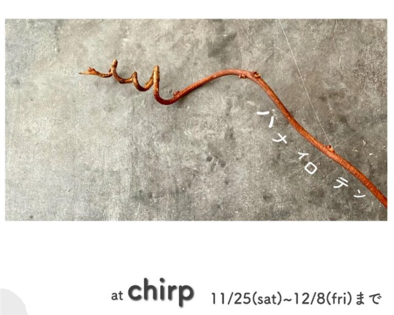 11/25～12/8『ハナイロテン』